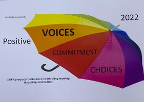 Positive Voices - Self Advocacy Works