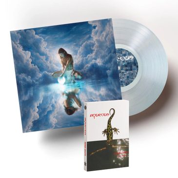 A vinyl record with surreal cover art and a cassette tape with a lizard image.