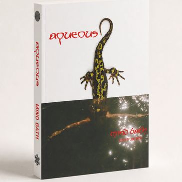 Book titled 'Aqueous Mind Bath' with a lizard on the cover.