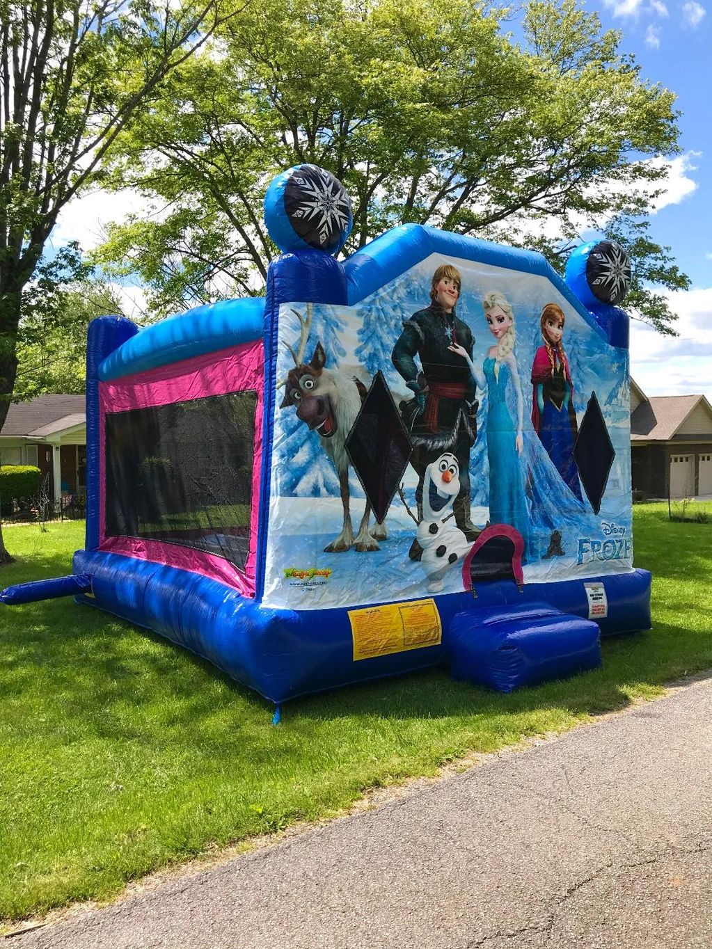 FROZEN BOUNCE HOUSE