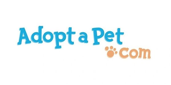 An online non-profit charity that helps advertise homeless animals and other great things. 
