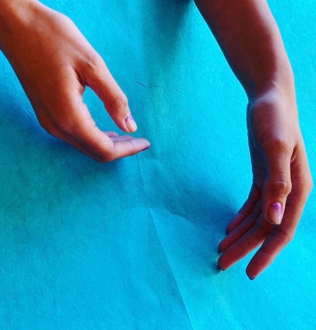 Loving Hands Animal Healing logo