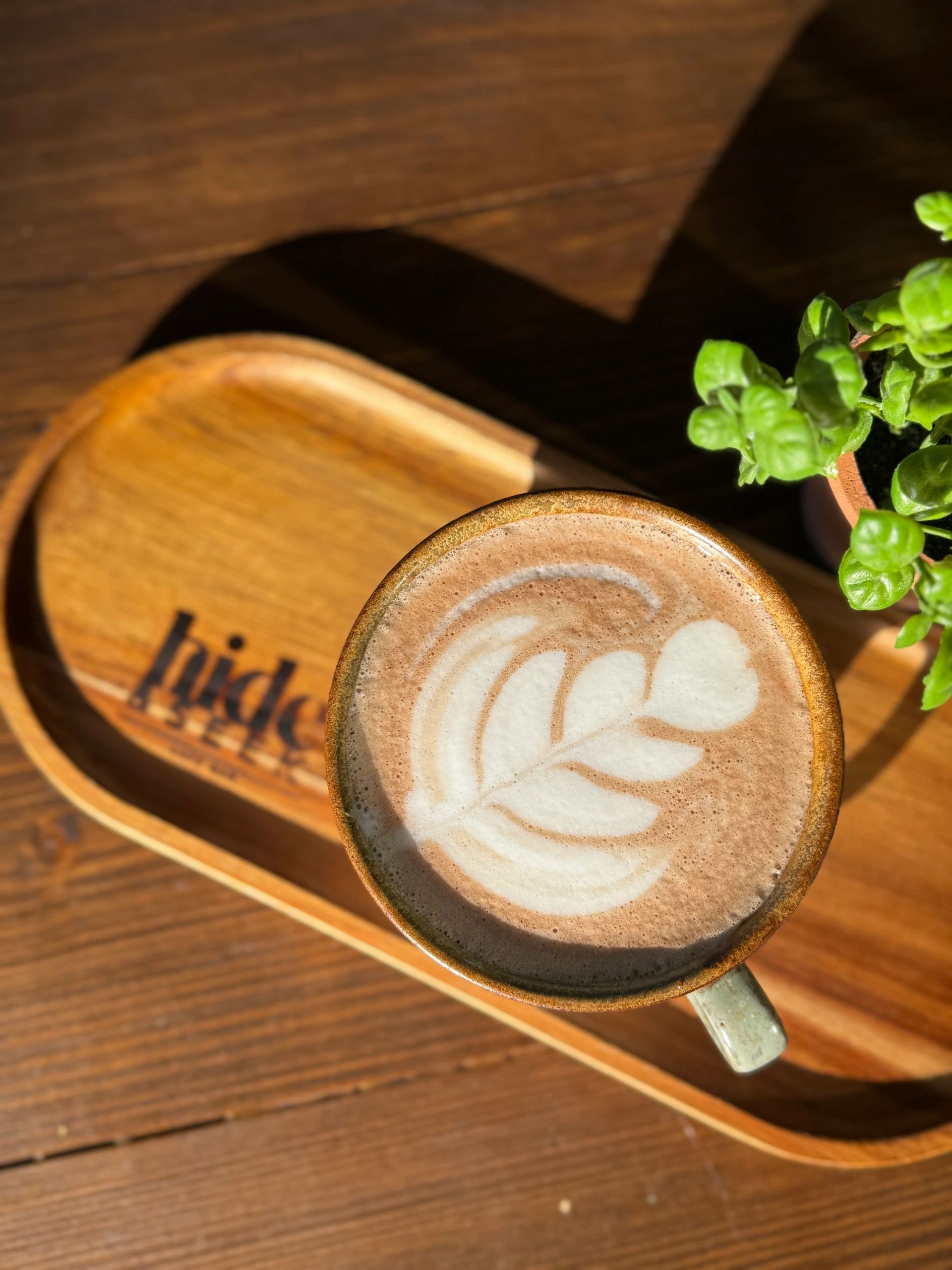 Hide & Seek Café Bar