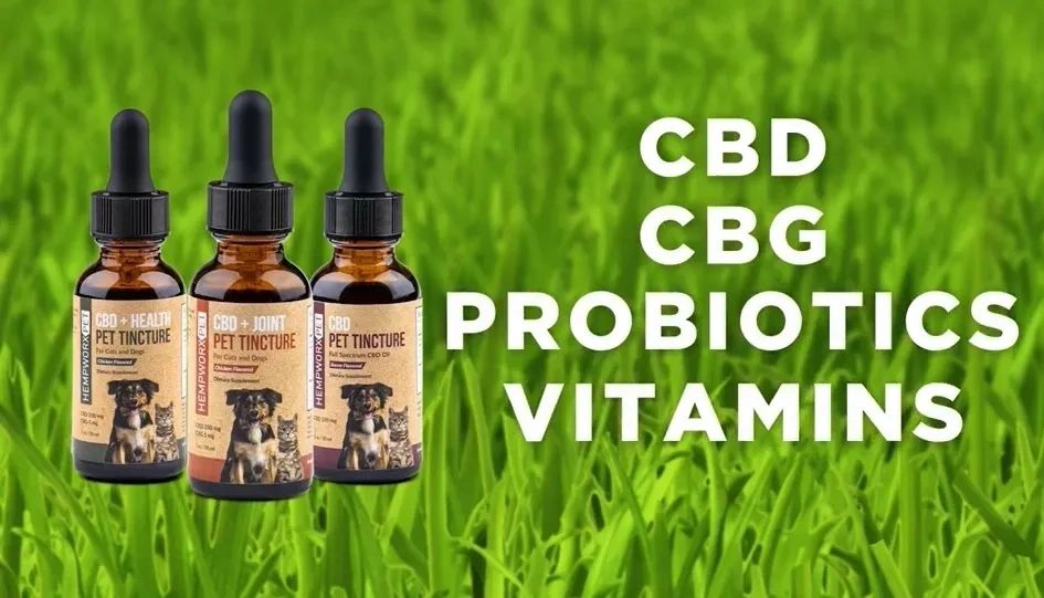 cbd for pets