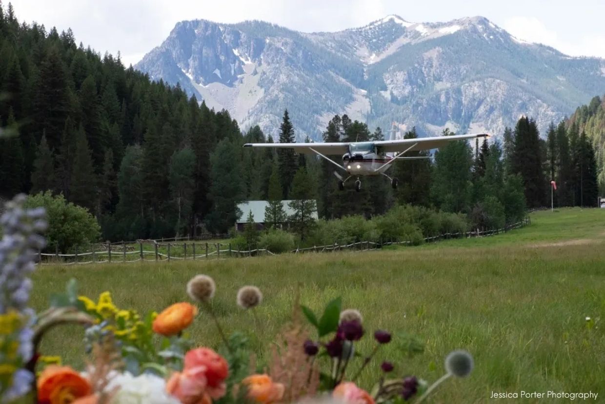 An airplane taking off with a mountain in background and florals in the foreground.