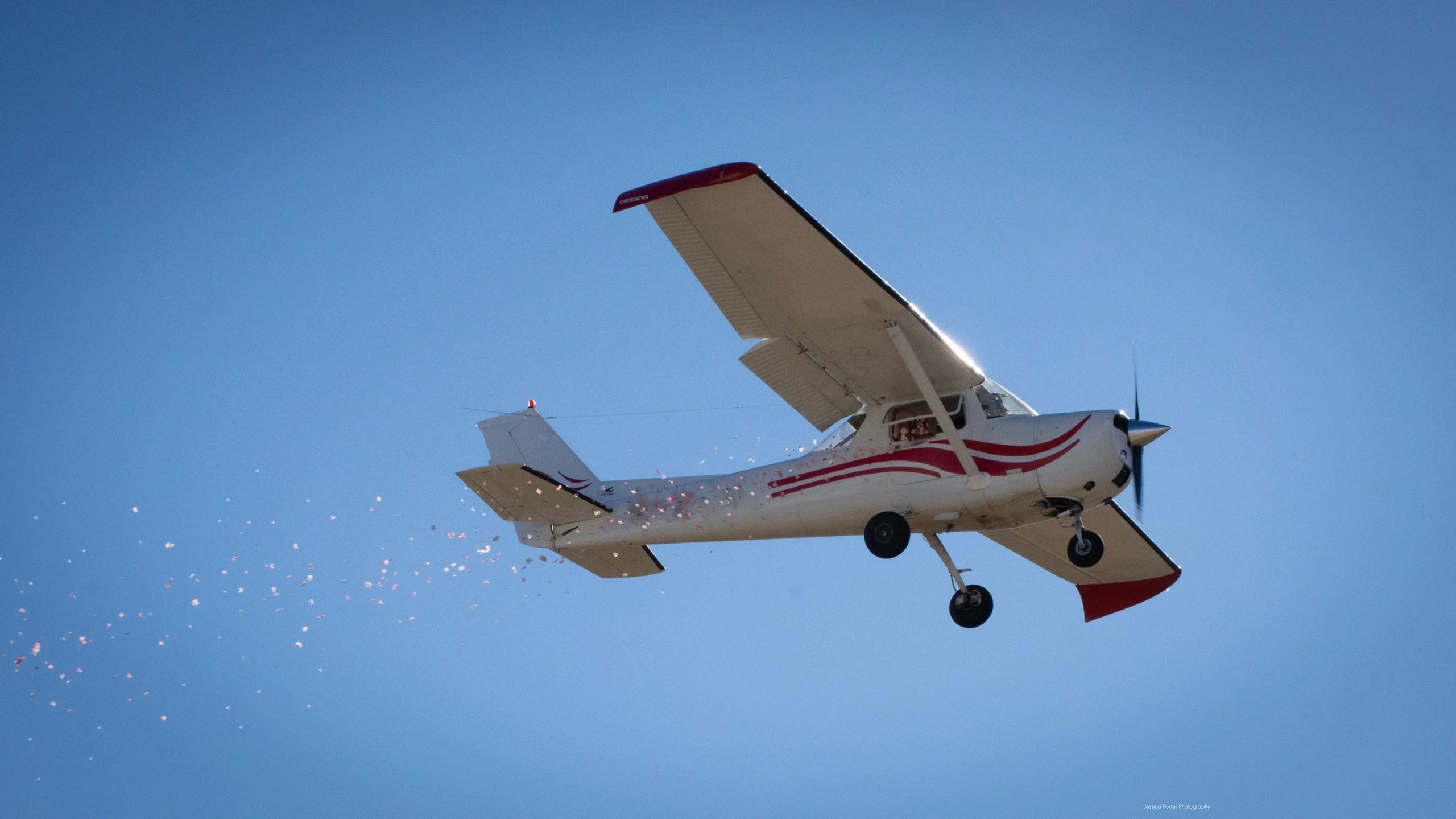 An airplane dropping rose petals from the sky.