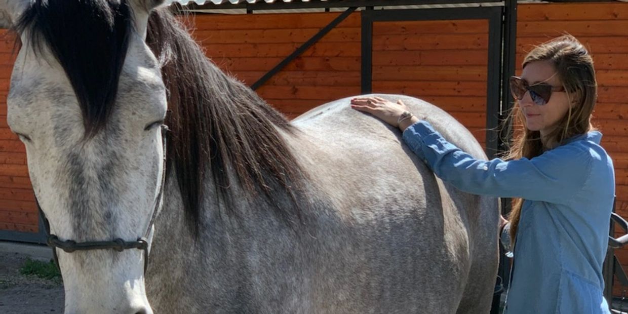Equine Bodywork