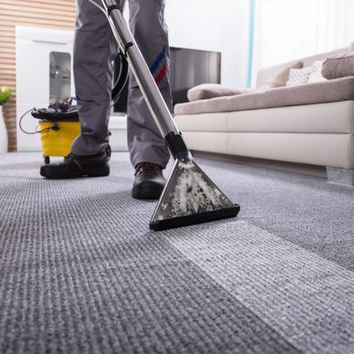 carpet cleaning, floor cleaning, professional cleaning, upholstery cleaning, spot treatment 