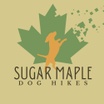 Sugar Maple Dog Hikes