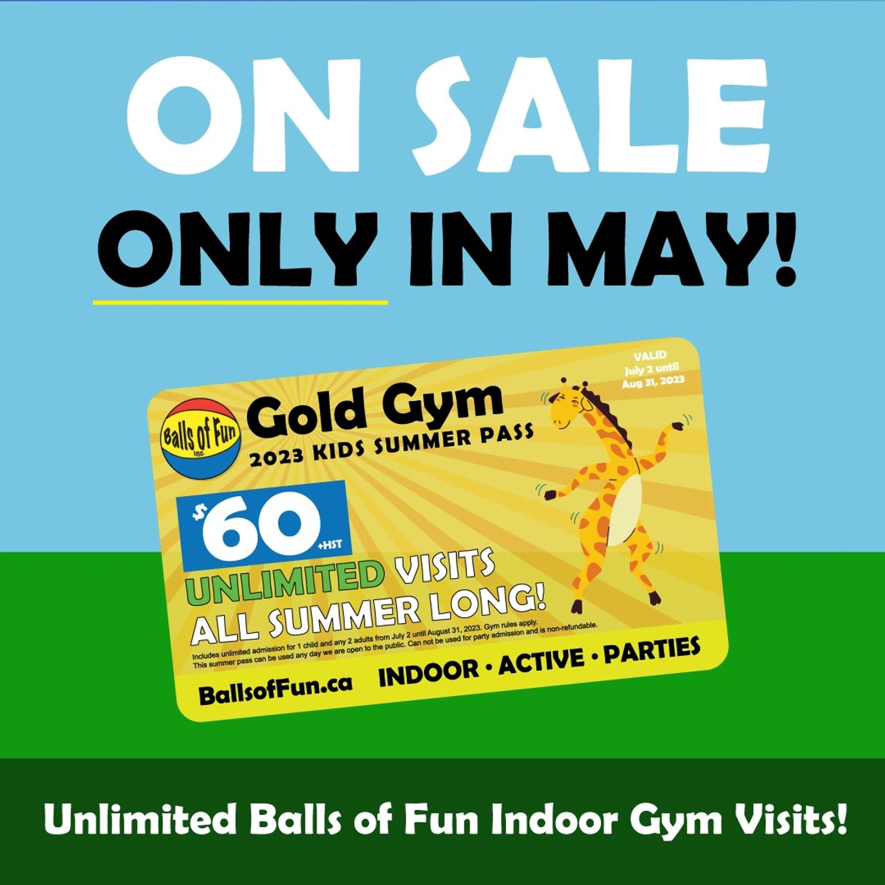 Balls of Fun Summer Gold Gym pass, unlimited play for $60 + tax