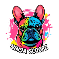 Ninja Scoopz