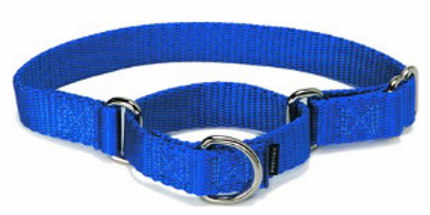Blue nylon dog collar with metal rings and adjustable straps.