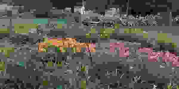 image1528