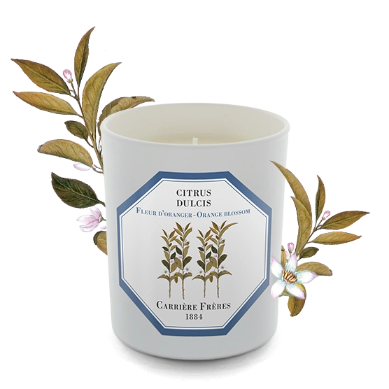 French Candles Carriere Freres