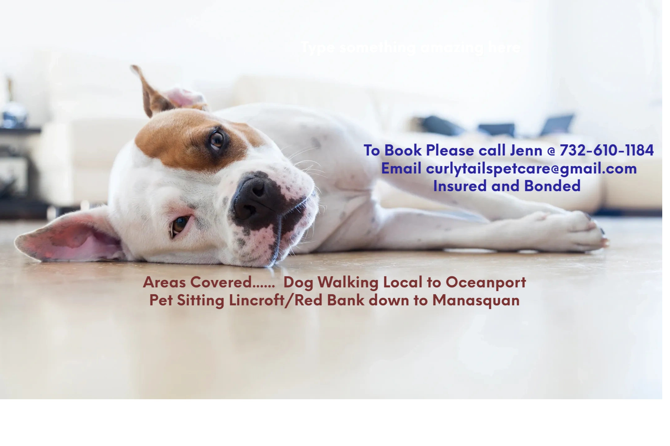 Curly Tails Pet Care