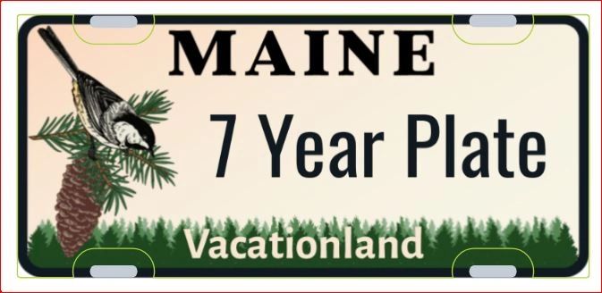 7 Year Tag
