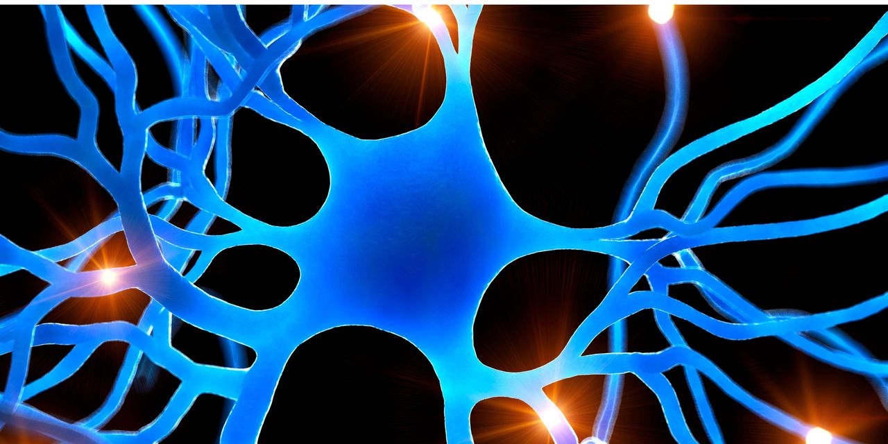 The Vagus Nerve, the Gut–Brain Axis, and Your Health