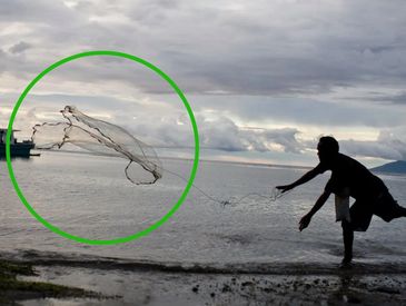 capture data, development, learn to fish