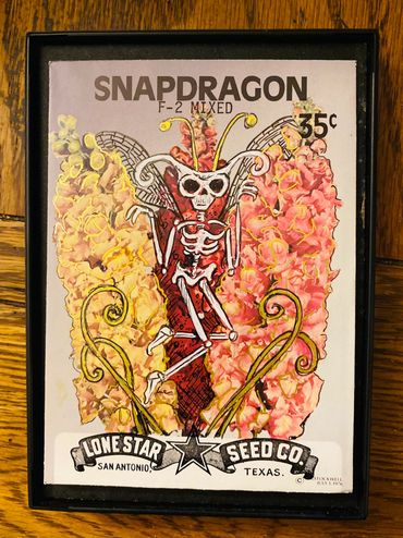 Day #1209 - 07.13.2024
art of the day
Vintage seed packet - 1970s
"Snapdragon"
before & after