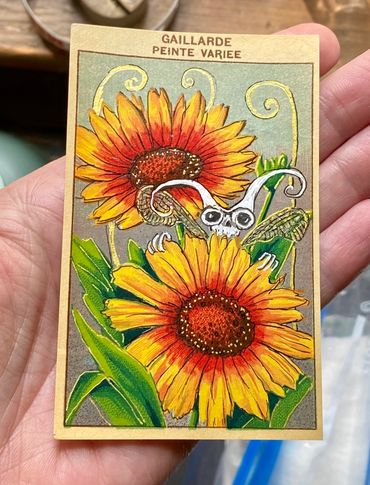 Day #1214 - 07.18.2024
art of the day
vintage French seed packet label
gaillarde - blanket flower
be