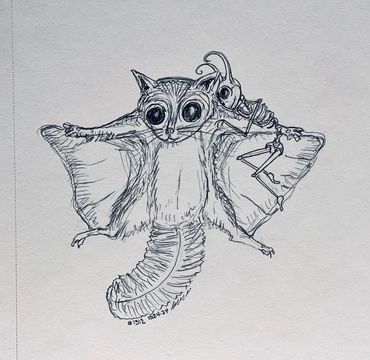 Day #1312 - 10.24.2024
little sketch of the day
“flying squirrel + skelly”
Zoey & I saw a real flyin