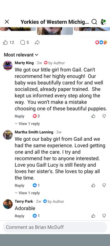 Positive reviews praising Gail for caring and socializing puppies well.