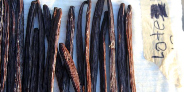 Beneficiado de vainilla