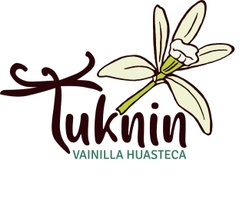 vainillatuknin.com