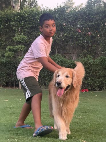 A boy playing with a happy golden retriever on a grassy lawn.
