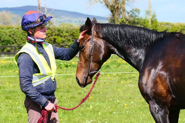 A horse and rider share a moment after training