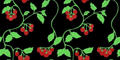 Tomato Tome Original Repeat Pattern