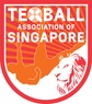 Teqball Singapore