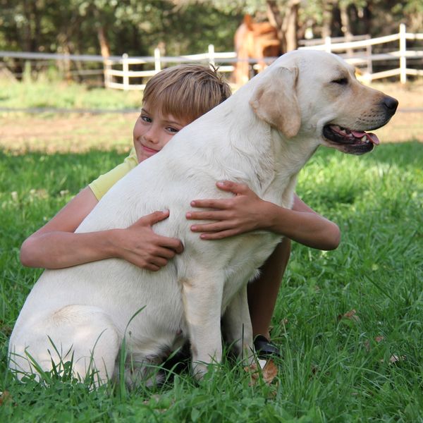 A Labrad and her boy 