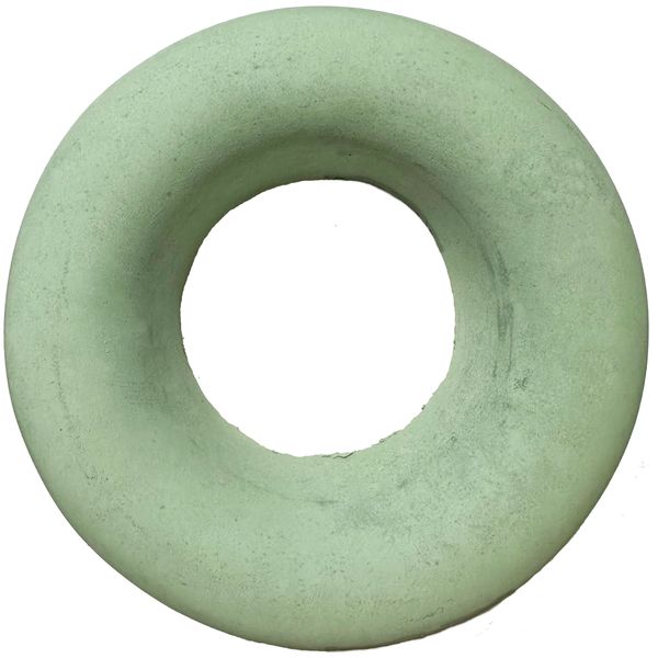 Grey Concrete 3 1/4 Sprinkler Donut in Tampa Florida