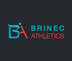 brinec.com