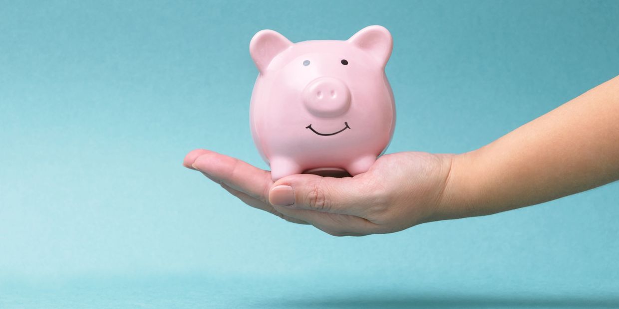 Savings: piggy bank