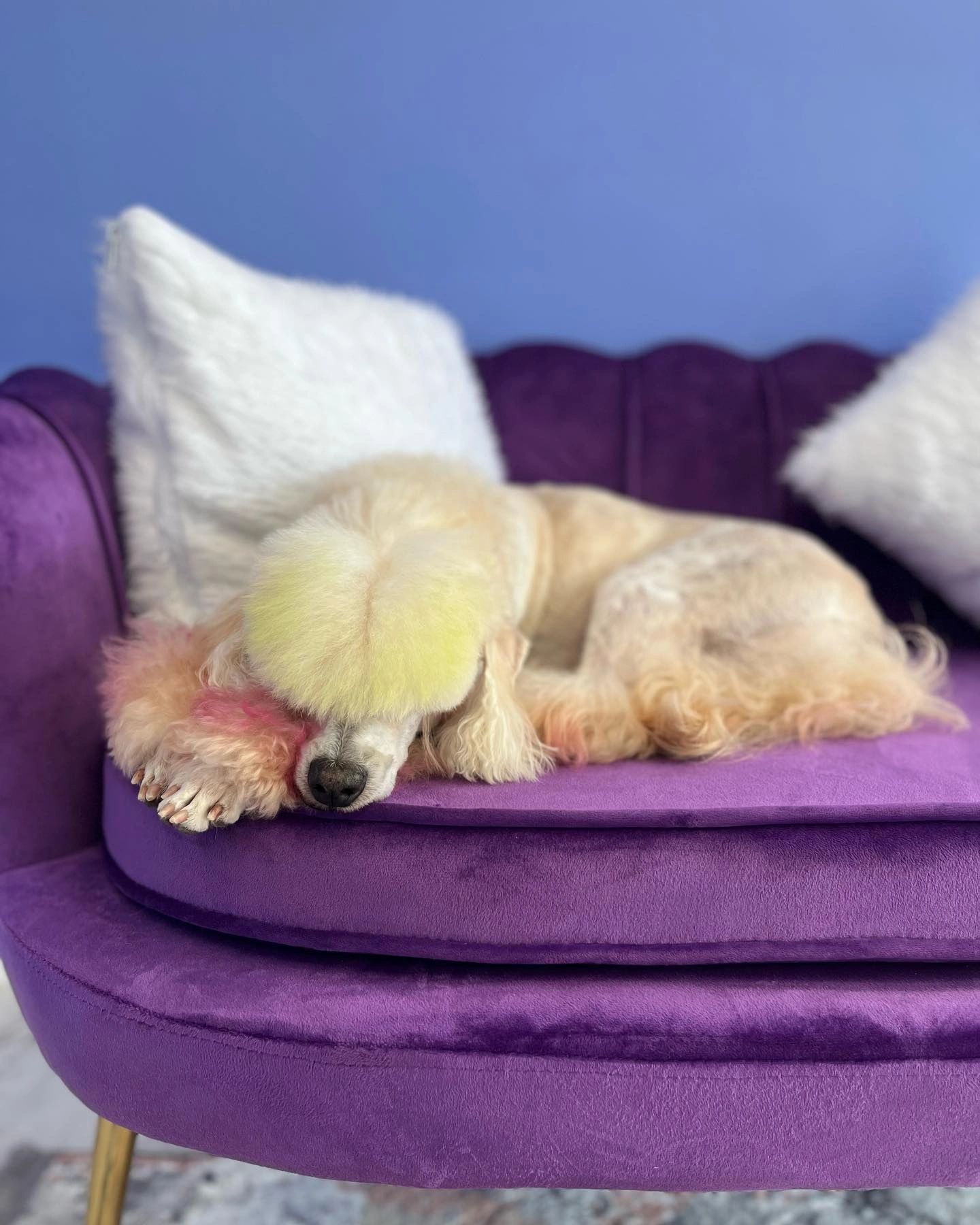 Furrever Love Pet Grooming LLC