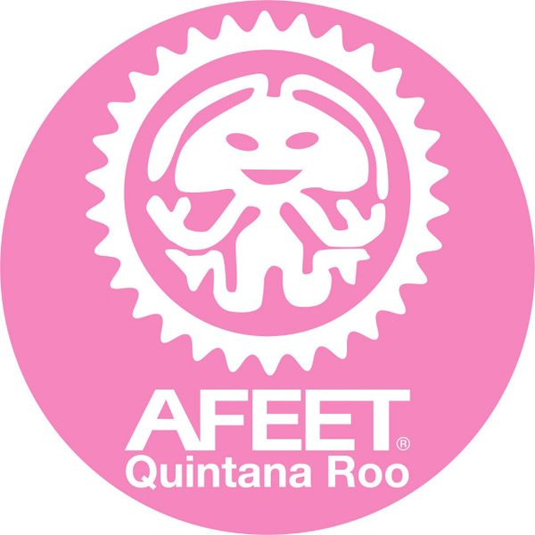 Pink circular logo with a smiling figure and text 'AFEET Quintana Roo'.