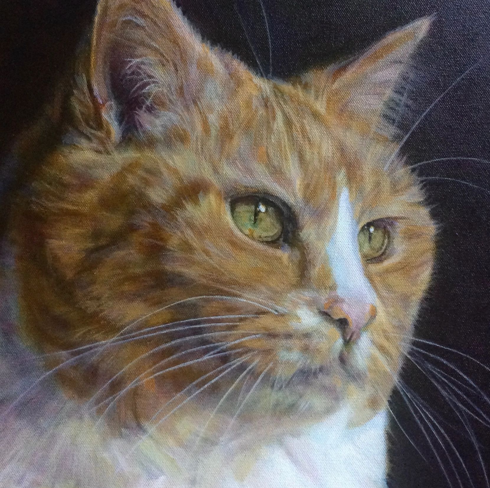 15"x 15" oil painting on canvas portrait of an orange cat