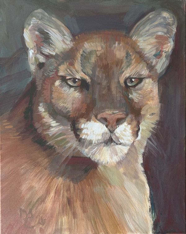 portrait of a mountain lion