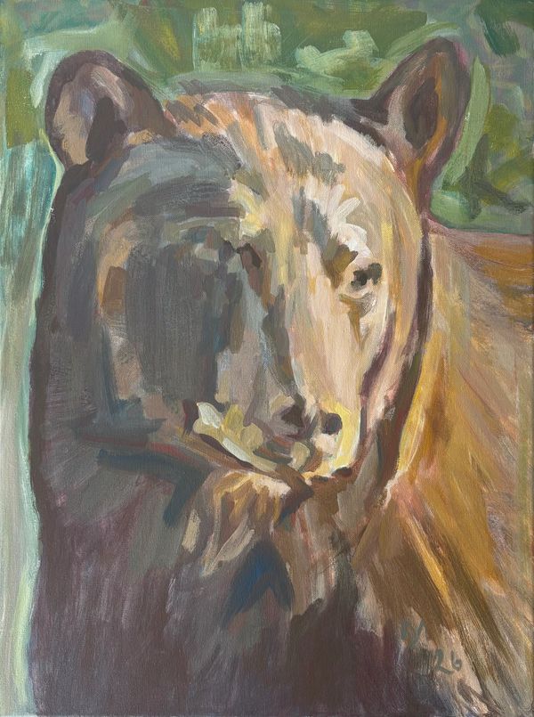 portrait of a brown bear
