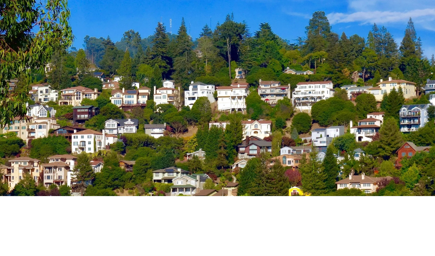 Profile picture of East Bay Structural & Termite