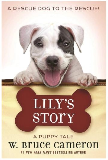 Lily's Story book cover