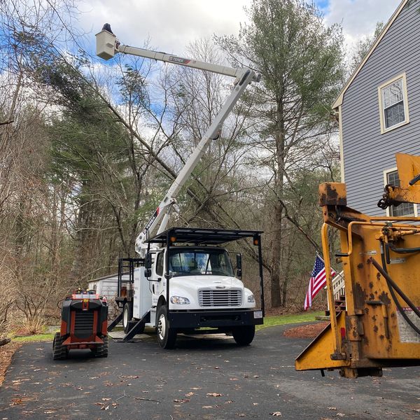 Emergency service call to remove fallen tree