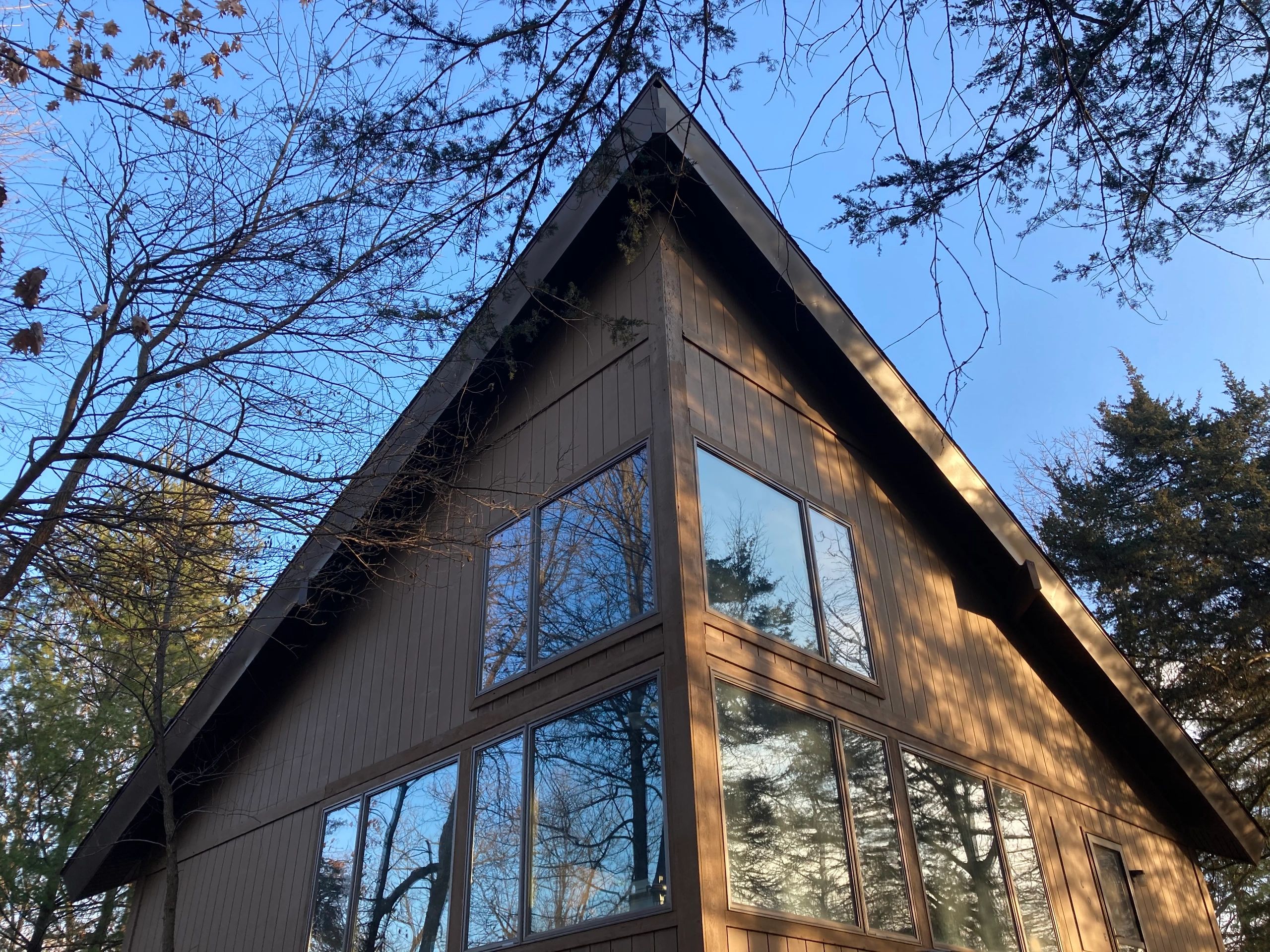 Forward Property Services