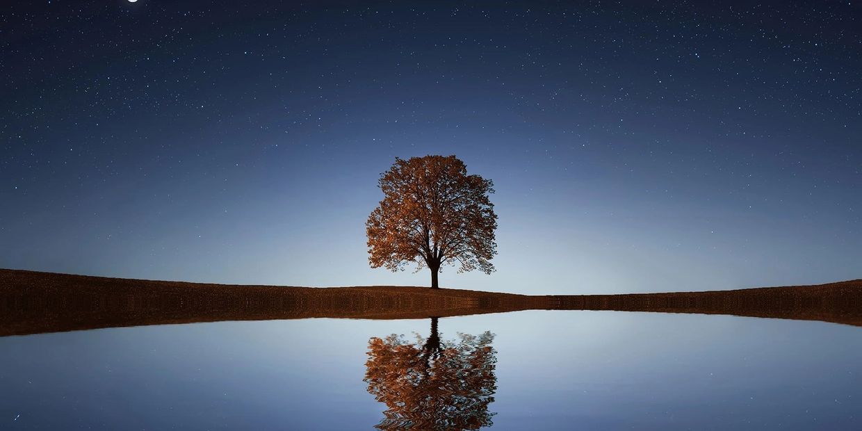 Image of one beautiful tree in Autumn with a bright night sky and stars, that are reflected in water