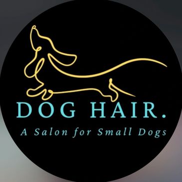 Dog Hair Pet Salon logo and link to Instagram.