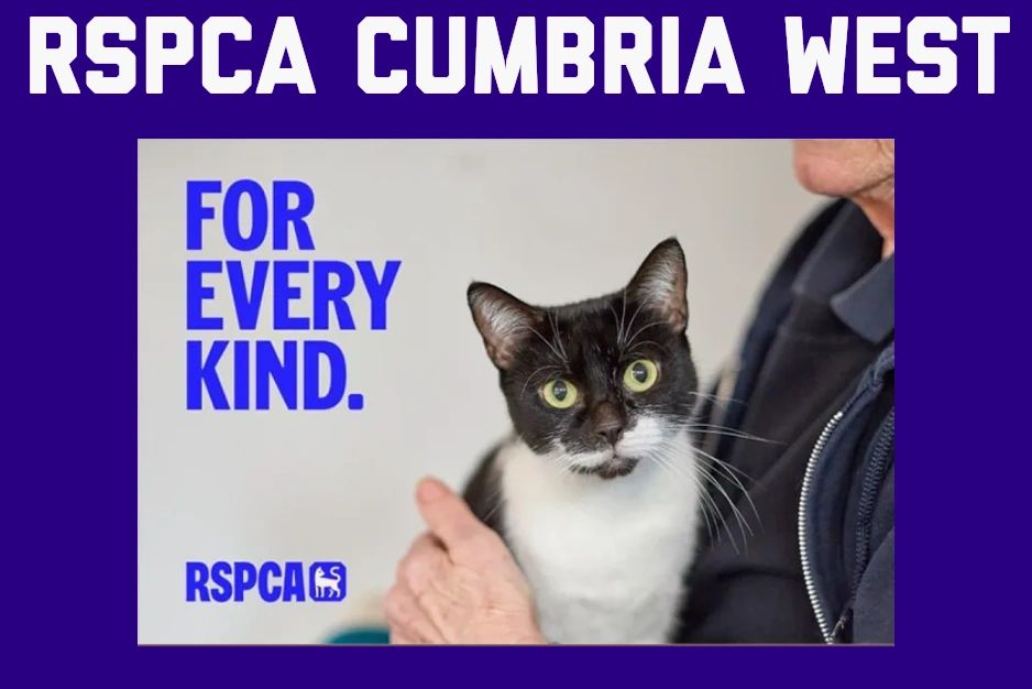 Royal Society for the Prevention of Cruelty to Animals - Cumbria West Branch logo