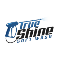 True Shine Soft Wash