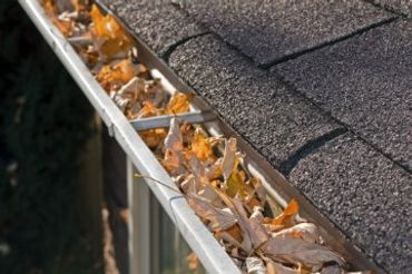 Gutter filled with dry leaves on a shingled roof.